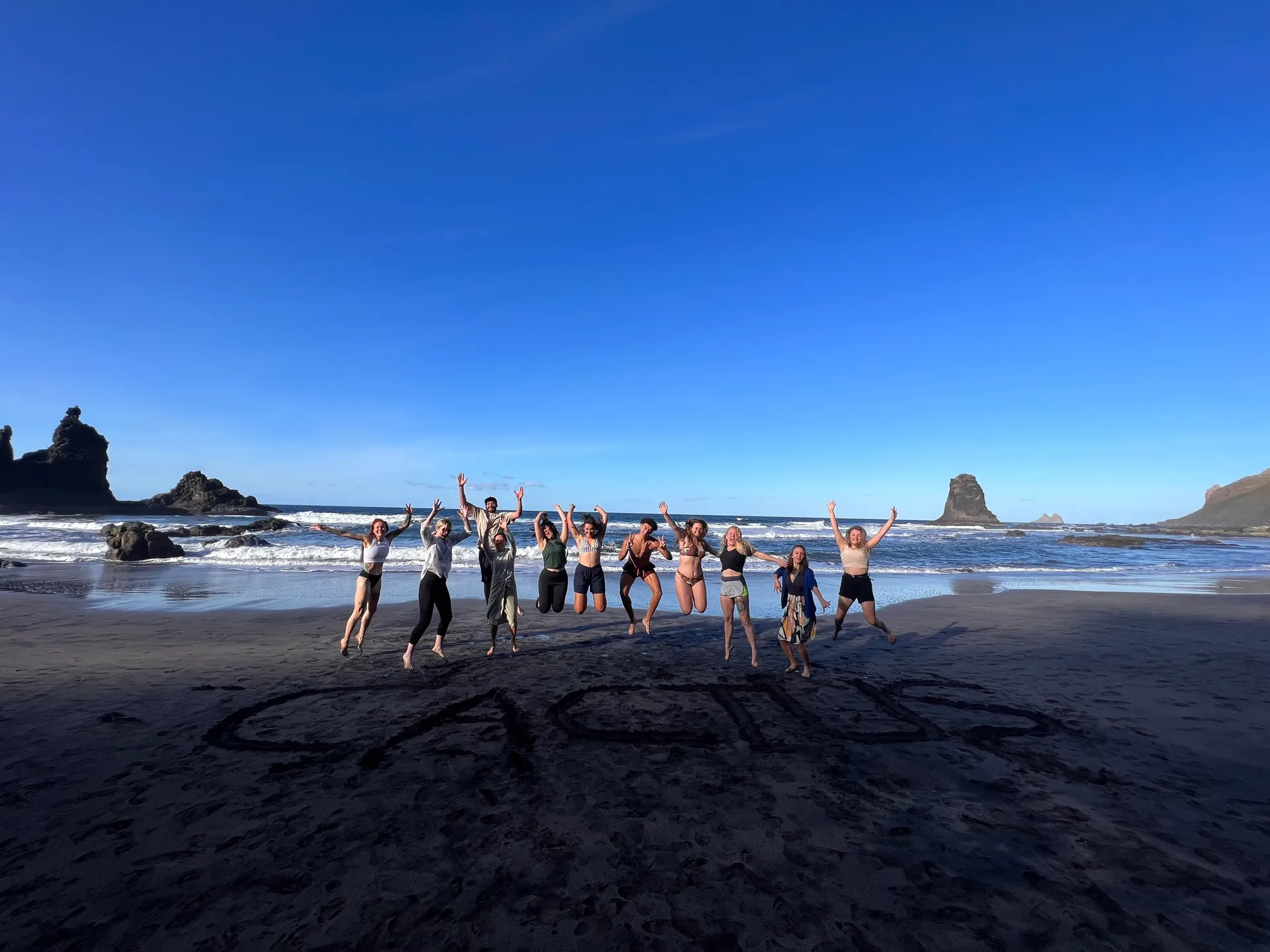 Cactus colivers on a black sand beach in the north of Tenerife